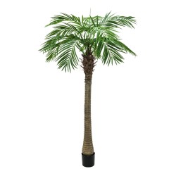 Dirbtinė palmė EUROPALMS Phoenix palm tree luxor, 300cm