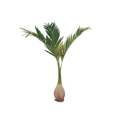 EUROPALMS Phoenix palm, artificial plant, 240cm