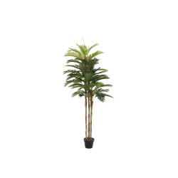 EUROPALMS Kentia palm tree, artificial plant, 150cm