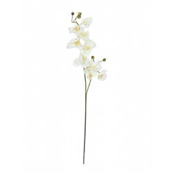 Dirbtinės orchidėjos žiedas su stiebu EUROPALMS cream-white, 100cm