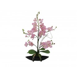 Dirbtinė orchidėja EUROPALMS EVA, purpurinė