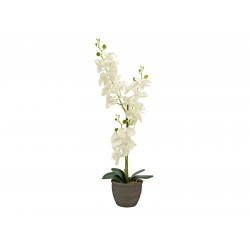 Dirbtinė kreminė orchidėja, 65cm