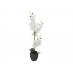 Balta dirbtinė orchidėja, 65cm