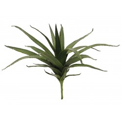 Dirbtinis alavijas EUROPALMS Aloe (EVA), green, 50cm