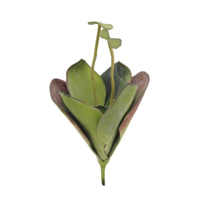 Dirbtinė vandens lelija EUROPALMS Water Lily (EVA), closed, green, 45cm