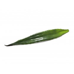 Alavijo lapas EUROPALMS Aloe leaf (EVA), 60cm