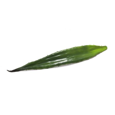 Alavijo lapas EUROPALMS Aloe leaf (EVA), 60cm