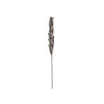 Dirbtinė šaka EUROPALMS Owl Feather Branch (EVA), 110cm