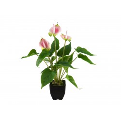 EUROPALMS Anthurium, artificial plant, white and pink