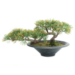 Dirbtinio kedro bonsai EUROPALMS Pencil Cedar, 40cm