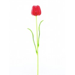 Dirbtinės tulpės EUROPALMS Crystal tulip, red 61cm 12vnt