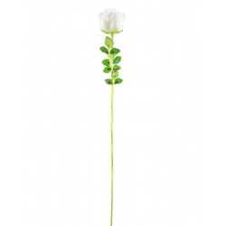 EUROPALMS Crystal rose, white 81cm 12x