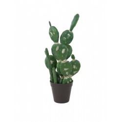 Dirbtiniai kaktusai EUROPALMS Mixed cactuses, 54cm