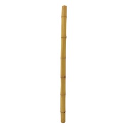 EUROPALMS Bamboo tube, �=8cm, 200cm