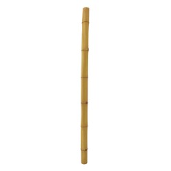 EUROPALMS Bamboo tube, �=12cm, 200cm
