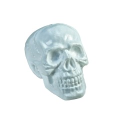 Kaukolė helovynui EUROPALMS Halloween Skull, 31x22x22cm
