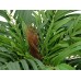 Dirbtinė Areca palmė 140cm