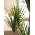 EUROPALMS Yucca palm, artificial plant, 130cm