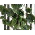 Dirbtinis vijoklis EUROPALMS Philodendron Bush Classic, 60cm