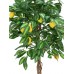 Dirbtinė citrina , medis EUROPALMS Lemon Tree, 180cm