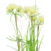 Dirbtinė gėlė EUROPALMS Star grass, 120cm
