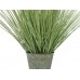Dekoratyvinė žydinti žolė EUROPALMS, 70cm