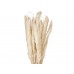 JOLIPA Pampas grass straw bunch, dried, natur, 75cm