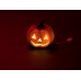 EUROPALMS Halloween Pumpkin illuminated, 12cm