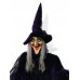 Helovyno dekoracija RAGANA EUROPALMS Halloween figure Witch, animated 175cm