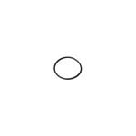 SNAP O-ring black 25x