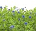 EUROPALMS Grass mat, artificial, green-purple, 25x25cm EUROPALMS Grass mat, artificial, green-purple, 25x25cm