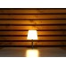 EUROLITE AKKU Table Light 2 RGB+WW EUROLITE AKKU Table Light 2 RGB+WW