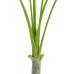EUROPALMS Areca deluxe, artificial plant, 180cm EUROPALMS Areca deluxe, artificial plant, 180cm
