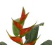 FIRESILX Heliconia, artificial plant, Class B, s2, d0 low flammability, 190cm FIRESILX Heliconia, artificial plant, Class B, s2, d0 low flammability, 190cm