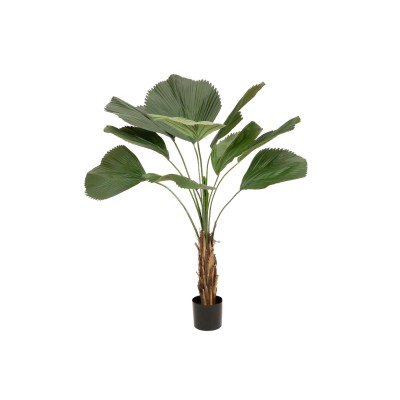 FIRESILX Ruffled Fan Palm, artificial, Class B, s2, d0 low flammability, 140cm FIRESILX Ruffled Fan Palm, artificial, Class B, s2, d0 low flammability, 140cm