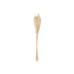 JOLIPA Pampas Grass Straw Bunch, dried, natur, 75cm
