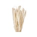 JOLIPA Pampas Grass Straw Bunch, dried, natur, 75cm