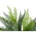 FIRESILX Ruffle Fern, artificial plant, Class B, s2, d0 low flammability, 38cm FIRESILX Ruffle Fern, artificial plant, Class B, s2, d0 low flammability, 38cm