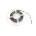 EUROLITE LED Strip 300 5m 3528 3000K 12V EUROLITE LED Strip 300 5m 3528 3000K 12V