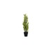 EUROPALMS Cypress, Leyland, artificial plant, 60cm EUROPALMS Cypress, Leyland, artificial plant, 60cm