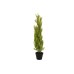 EUROPALMS Cypress, Leyland, artificial plant, 90cm EUROPALMS Cypress, Leyland, artificial plant, 90cm