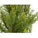 EUROPALMS Cypress, Leyland, artificial plant, 90cm EUROPALMS Cypress, Leyland, artificial plant, 90cm