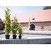 EUROPALMS Cypress, Leyland, artificial plant, 90cm EUROPALMS Cypress, Leyland, artificial plant, 90cm