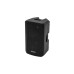 OMNITRONIC VFM-210 MK2 2-way Speaker