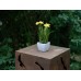 EUROPALMS Daffodil, artificial plant, 23cm EUROPALMS Daffodil, artificial plant, 23cm
