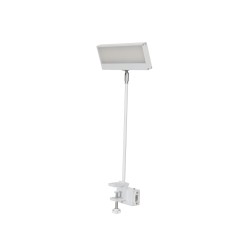 EUROLITE LED KKL-40 Floodlight 3CT white EUROLITE LED KKL-40 Floodlight 3CT white
