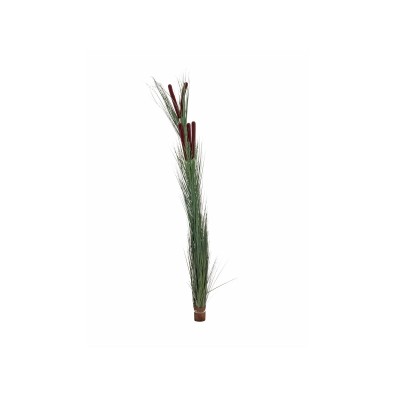 EUROPALMS Reed grass with cattails,dark-green, artificial, 152cm EUROPALMS Reed grass with cattails,dark-green, artificial, 152cm