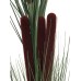 EUROPALMS Reed grass with cattails,dark-green, artificial, 152cm EUROPALMS Reed grass with cattails,dark-green, artificial, 152cm