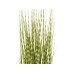 FIRESILX Zebra Grass, artificial, Class B, s2, d0 low flammability, 120cm FIRESILX Zebra Grass, artificial, Class B, s2, d0 low flammability, 120cm