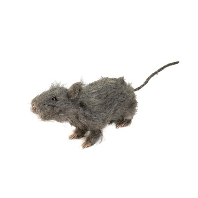 EUROPALMS Rat, lifelike with coat 30cm EUROPALMS Rat, lifelike with coat 30cm